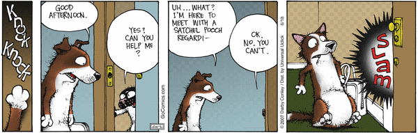 fuzzy
